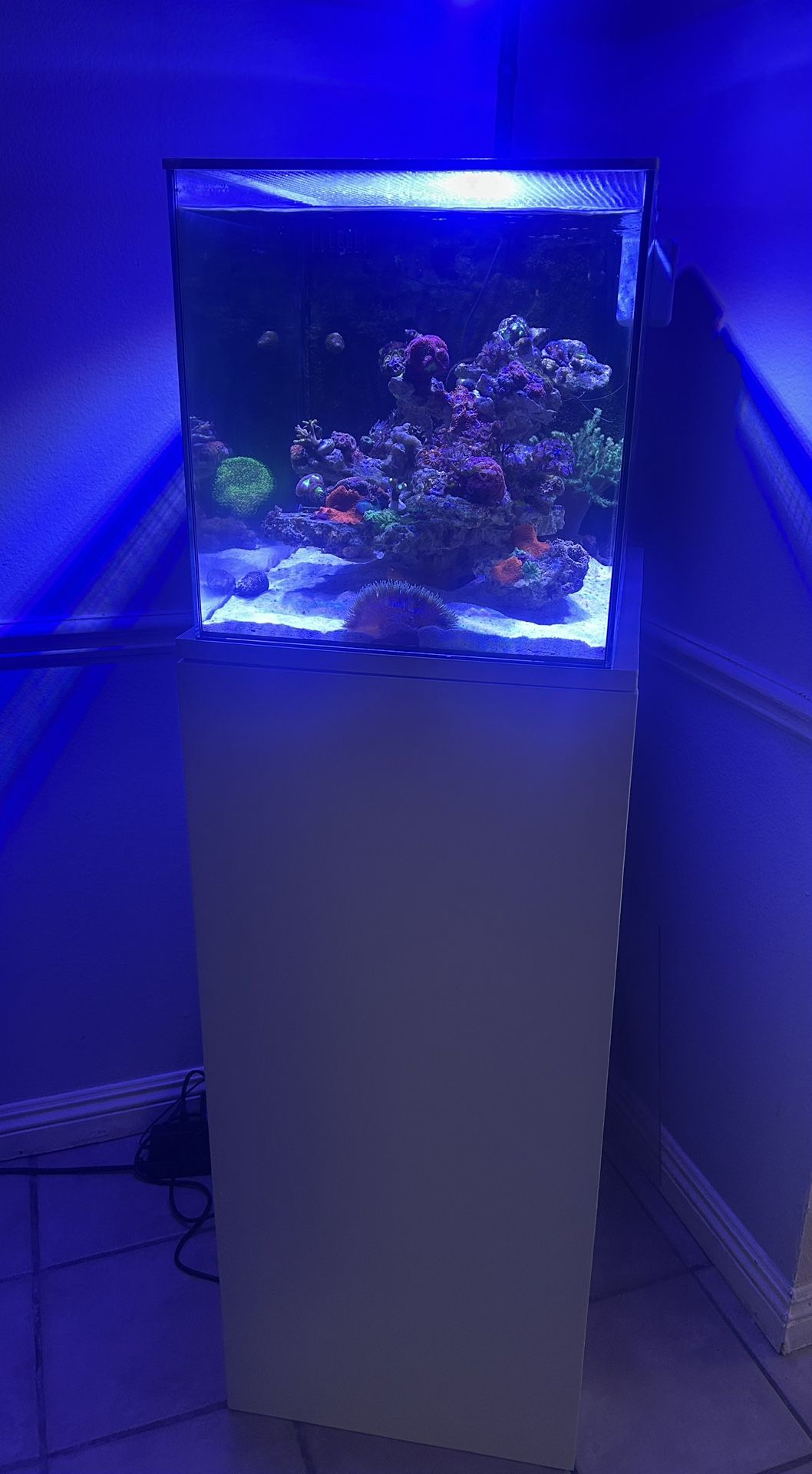 Water Box Peninsula 25 Gallon Aquarium