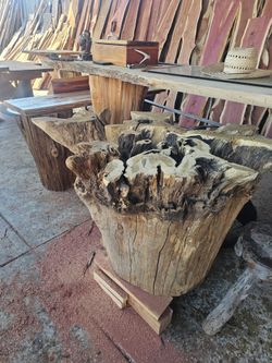 Rustic Hollow Tree root stumps bases