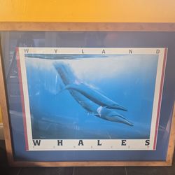 Framed Wyland Whales prints
