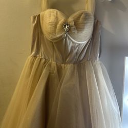 Champaign elegant dress 