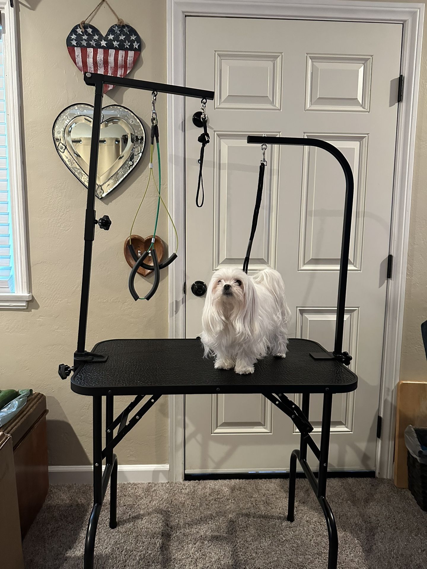 Dog Grooming Table