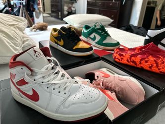 Jordan air max dunks