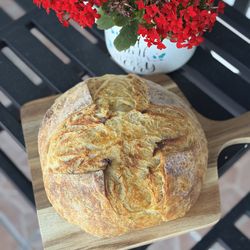 100% Organic Croissant Sourdough Bread