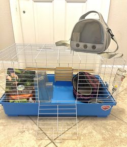Guinea Pig Cage & Accessories