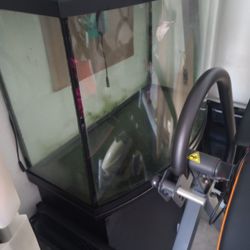 Big Fish Tank W Accessories 