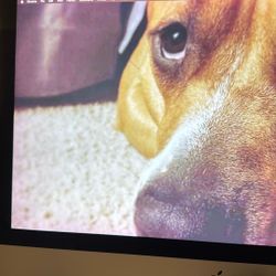 iMac Late 2015 27 Inch Retina 5k 