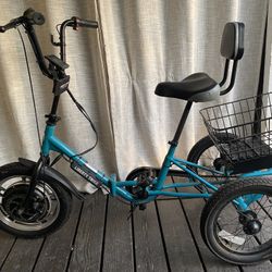 Electric Trike (lightly used)