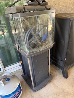 Fish tank $100 obo