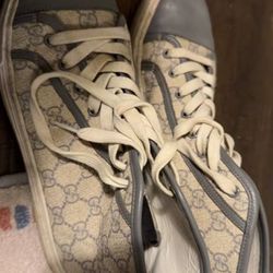 Gucci Shoes