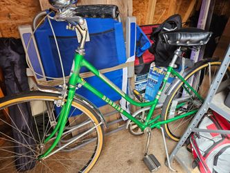 Schwinn bike speedster