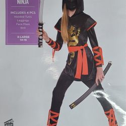 Dragon Ninja Costume 