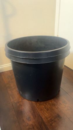20 gallon pots