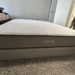 Premium Bed Frame - Holder Mattress