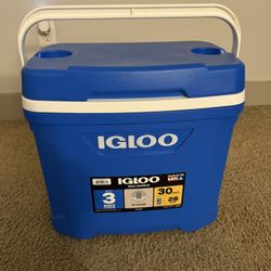 Igloo Cooler 30 Liters
