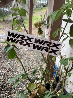 Wrx door handle decals