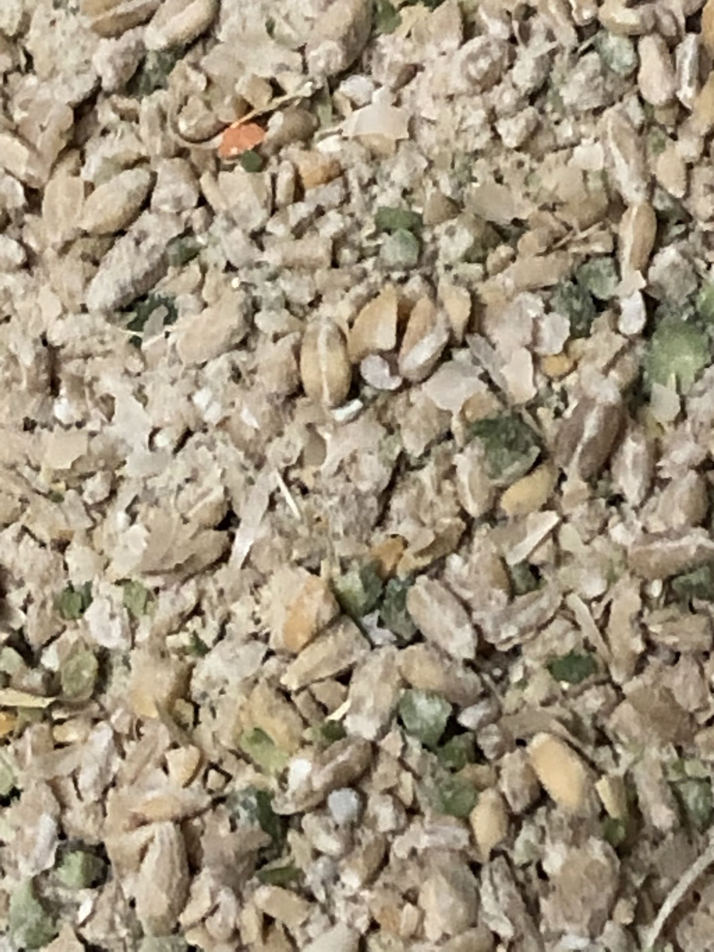 Grain