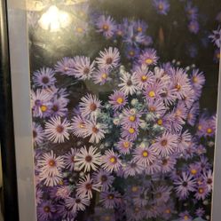 Purple Flower Picture