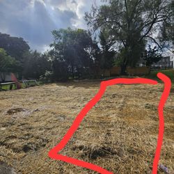 501 FREEMAN St Baltimore