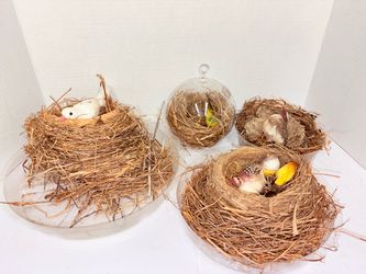 Nests
