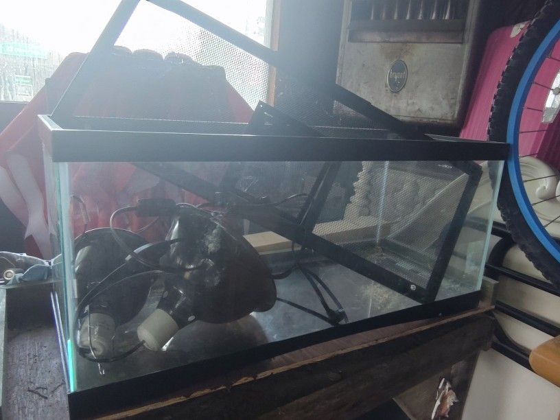 Reptile Tank
