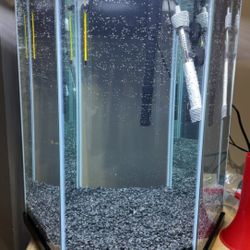 20 Gallon Hexagon Fish Tank