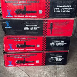 Complete Strut Assembly 