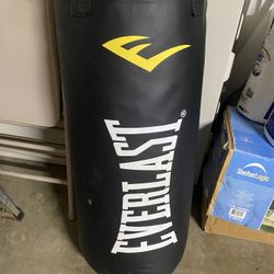 Everlast Punching Bag 