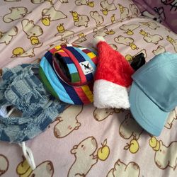 Dog Hats