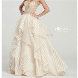 Ellie Wilde prom / formal dress