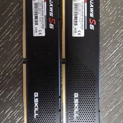 G.SKILL Ripjaws S5 Series 32GB (2 x 16GB) DDR5 6000
