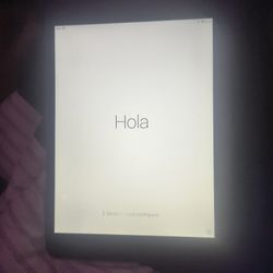 iPad Mini 