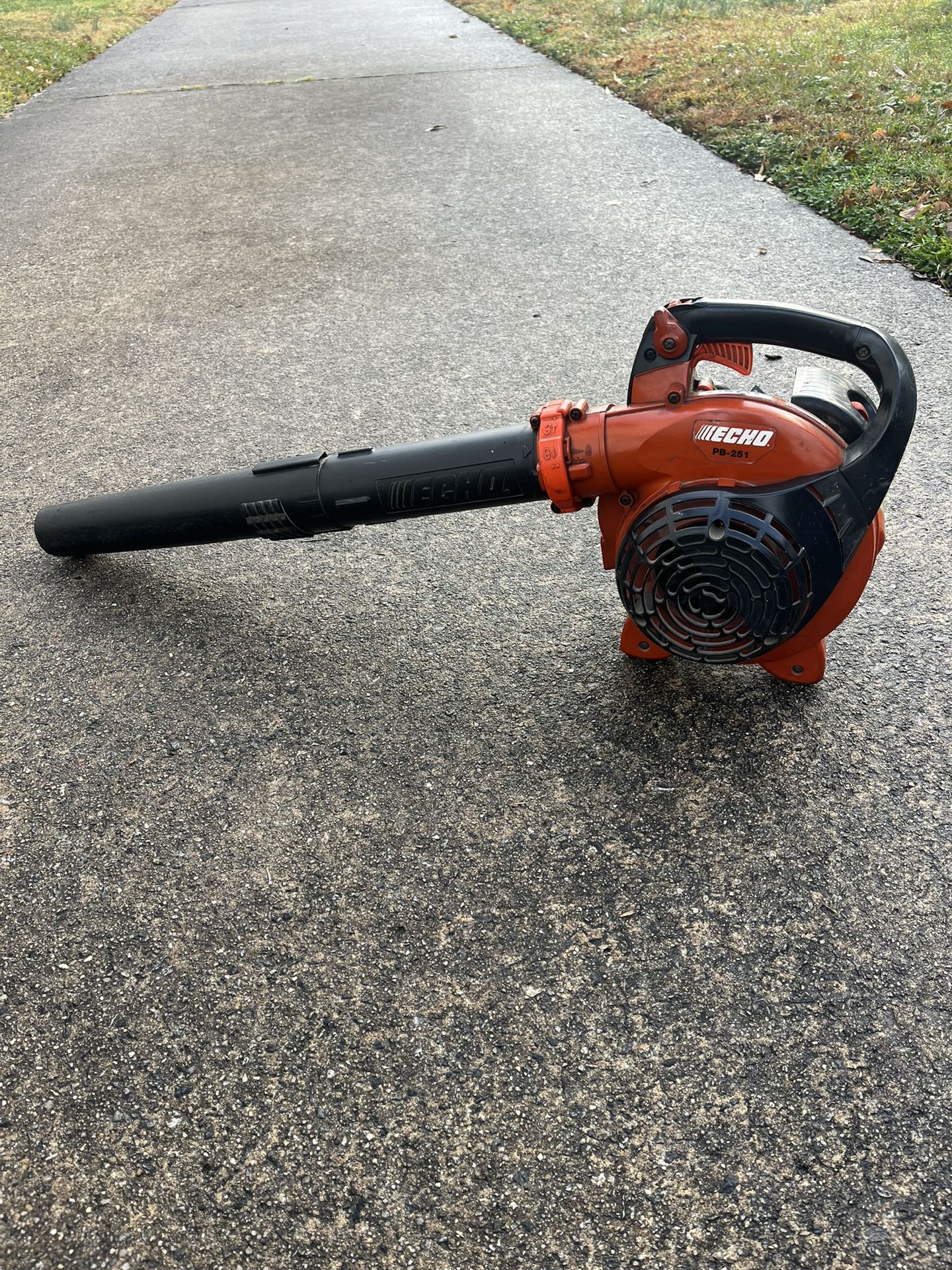 Echo Blower