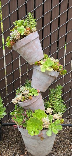succulents tilted pots 2 avelible