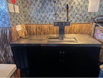 Commercial 4-Tap Draft Beer Kegerator / Back Bar Cooler