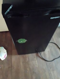 Refrigerator and mini fridge