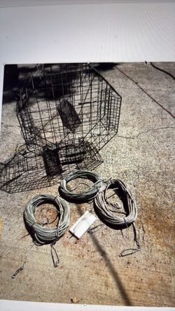Crab Pot