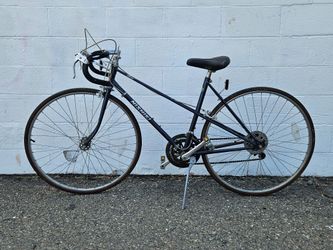 Vintage Nishiki Century Road Bicycle 10 Speed Touring Bike Classic Commuter