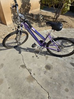 Mountain Bike (purple)
