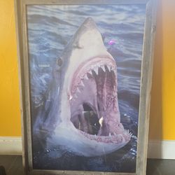 Large framed great white print