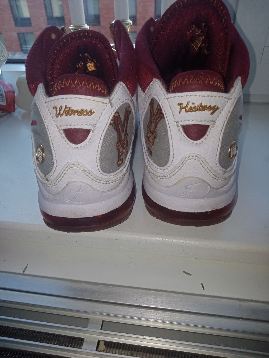 Nike Air Max LeBron James VII