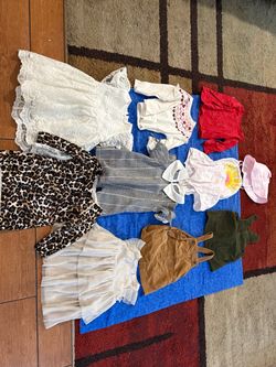 Baby/Toddler Girls Clothing Bundle