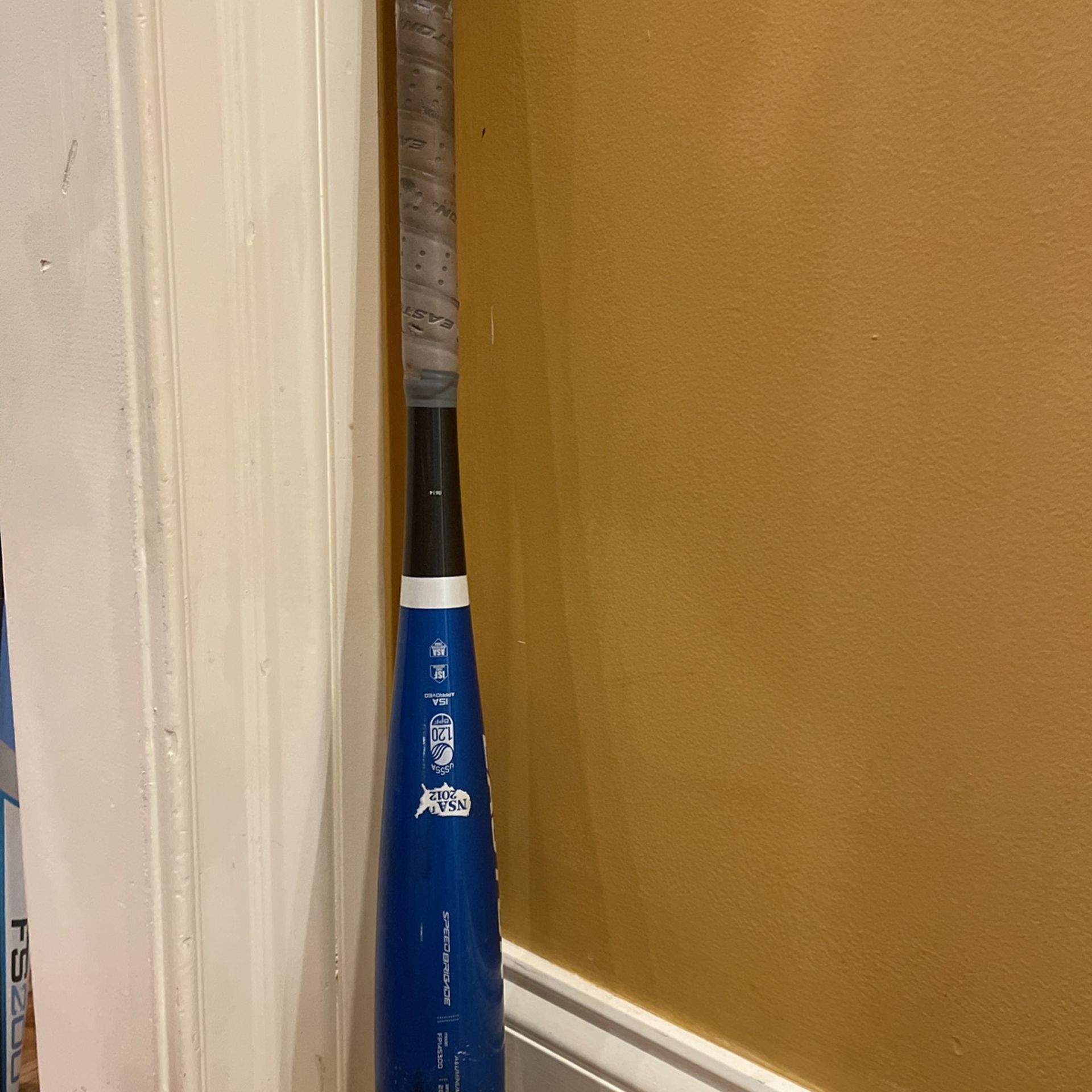 Easton Fastpitch Softball Bat