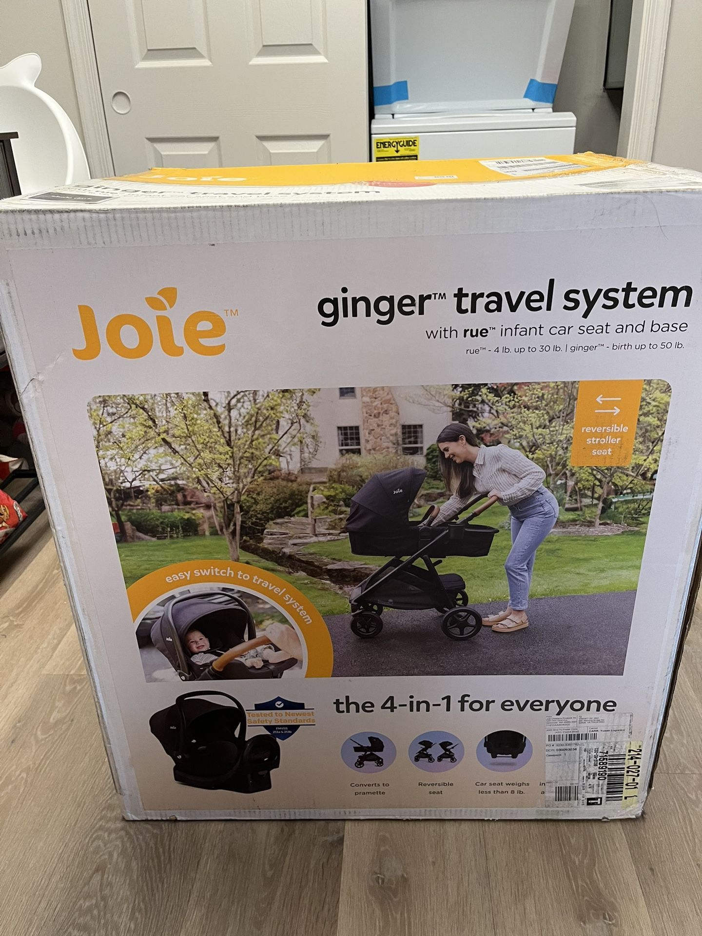 Joie Ginger and Rue Travel System