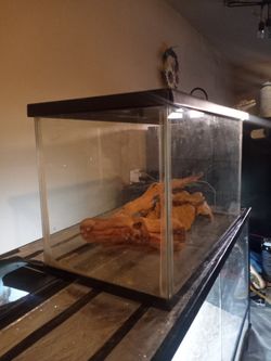 Lizard Tank 10inch Wide 12inch Tall And 20 Long