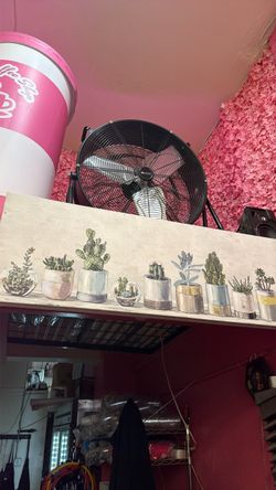 Plant Painting