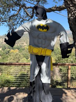 Toddler Batman costume fits 2-3 year old