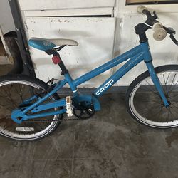 20 Inch Kid Bike