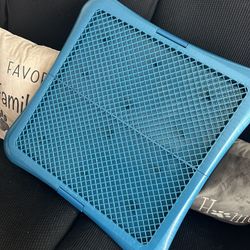 Puppy Potty Training