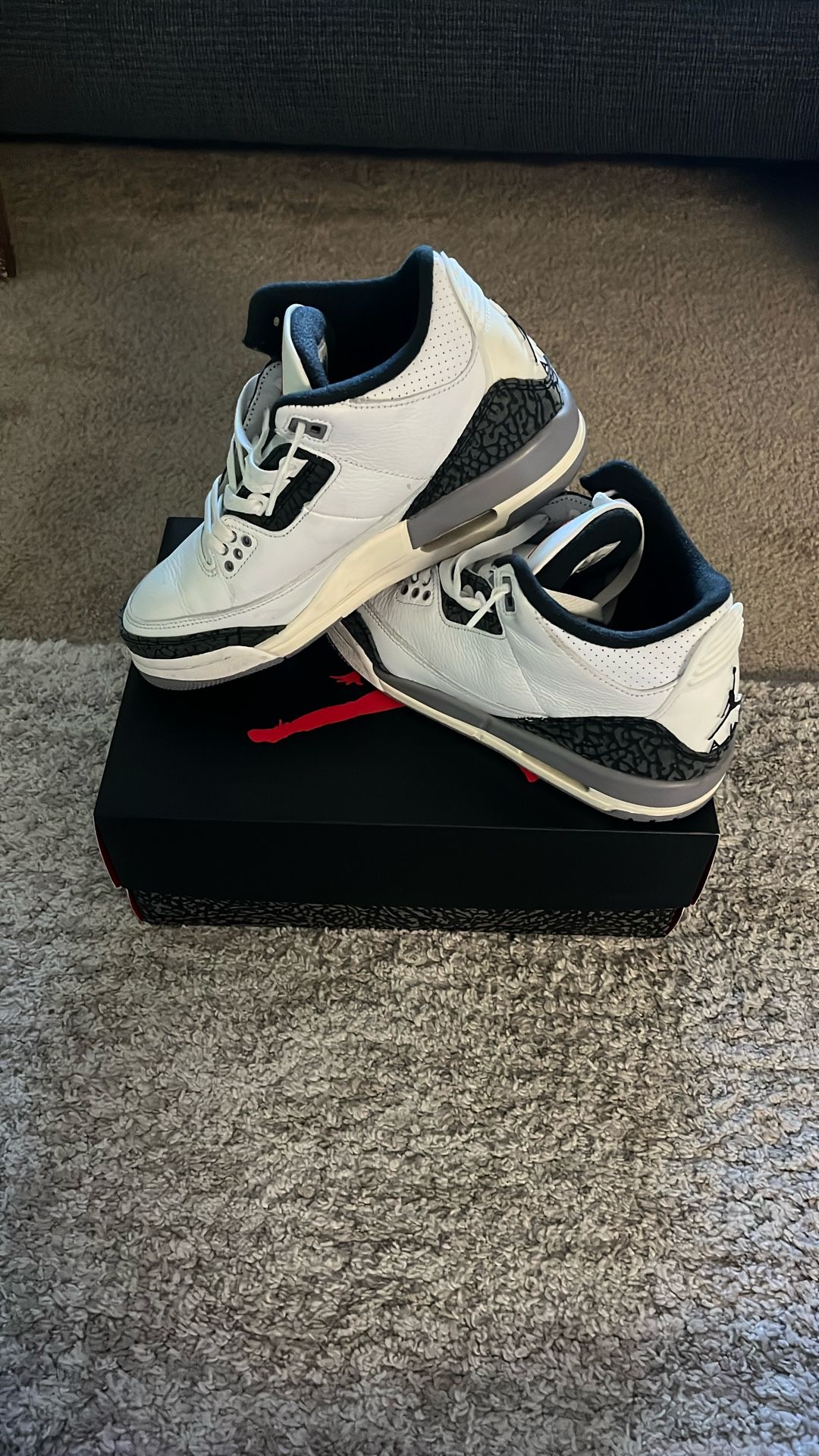 Air Jordan 3 retro (GS)