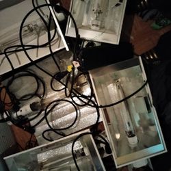 Grow Lights